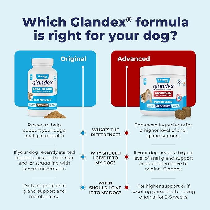 Vetnique Glandex Dog Fiber Supplement Powder for Anal Glands with Pumpkin, Digestive Enzymes & Dog Probiotics for Digestive Health - Vet Recommended - Boot The Scoot (Vegan Salmon, 2.5oz Powder)