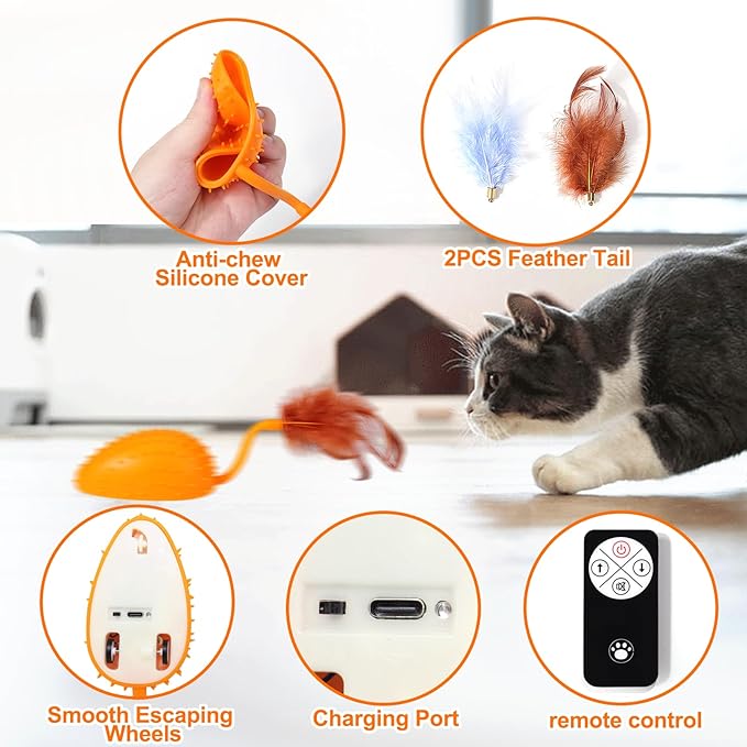 Mity rain Cat Interactive Toys for Indoor Cats, Remote Control Toy with Feather Tails, Cat Automatic Toy for Cats Exercise Catching and Chasing, Moving Electric Pet Toy with USB Charger