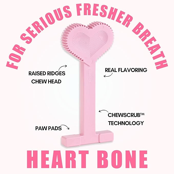 Bullibone Nylon Dog Chew Toy Nylon Bone - Improves Dental Hygiene, Easy to Grip Bottom, and Permeated with Flavor (Peppermint, Large - 3 Pack)