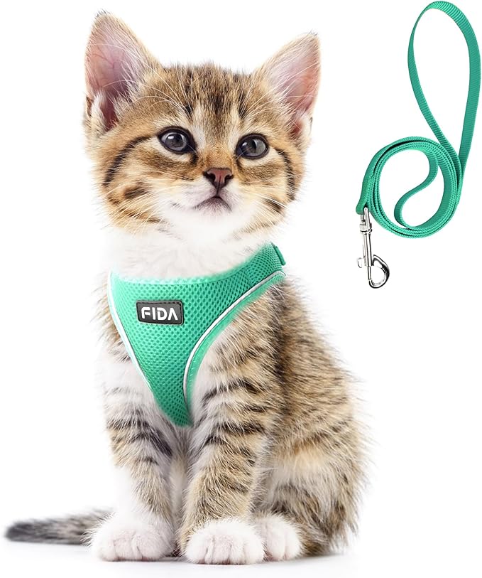 Fida Cat Harness and Leash Set for Walking Kitten and Puppy, Escape Proof Kitten Harness with Breathable Lightweight Soft Mesh, Adjustable Reflective Step-in Design. (XXS, Green)