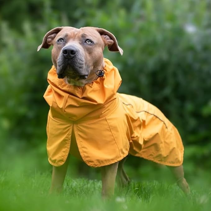 Spark Paws Dog Raincoat, Waterproof Windproof Rain Jacket, for Small Medium Large Extra Large Dogs, Reflective Breathable Full-Body Coverage Dry Suit - Mustard Yellow - M
