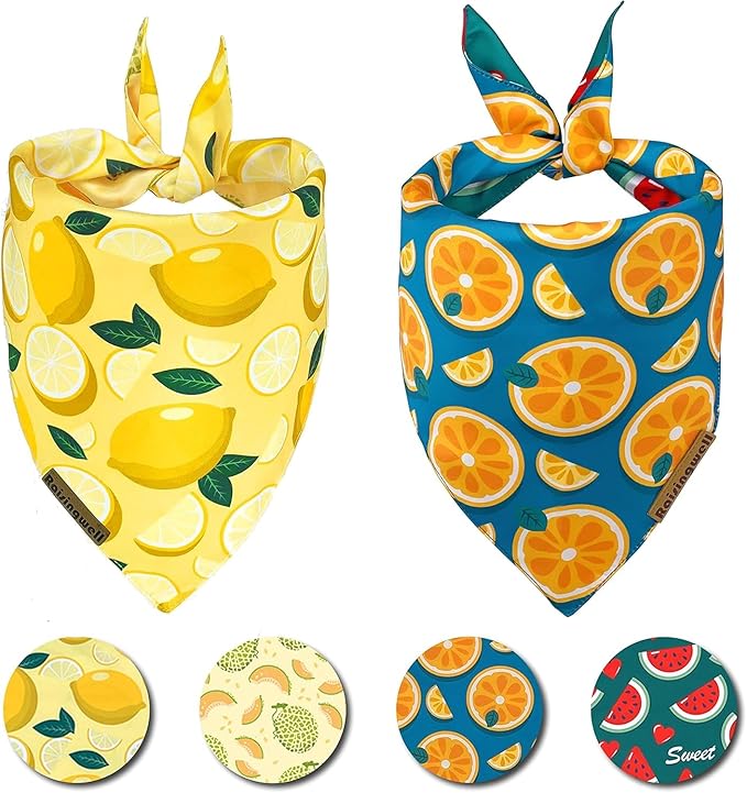 Cute Fruit Dog Bandanas 2 Pack, 4 Patterns Watermelon Lemon Orange Melon, Summer Dog Bibs for Large and XL Breed, Reversible Boy and Girl Pet Scarf（X-Large）