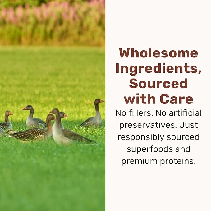 BADLANDS RANCH Superfood Nuggets – Freeze-Dried Raw Dog Treat & Food Topper, Nutrient-Dense Duck & Kale Formula, High Protein, No Artificial Additives, 8oz Bag