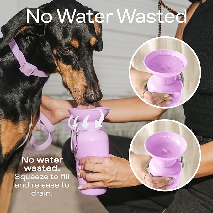 Springer by Springland Dog Water Bottle | Portable Travel Water Bottle Dispenser for Dogs | Dog Gift Seen on Oprah's Favorite Things, Shark Tank | Leak-Proof Bottles | BPA-Free 15oz Sky Blue