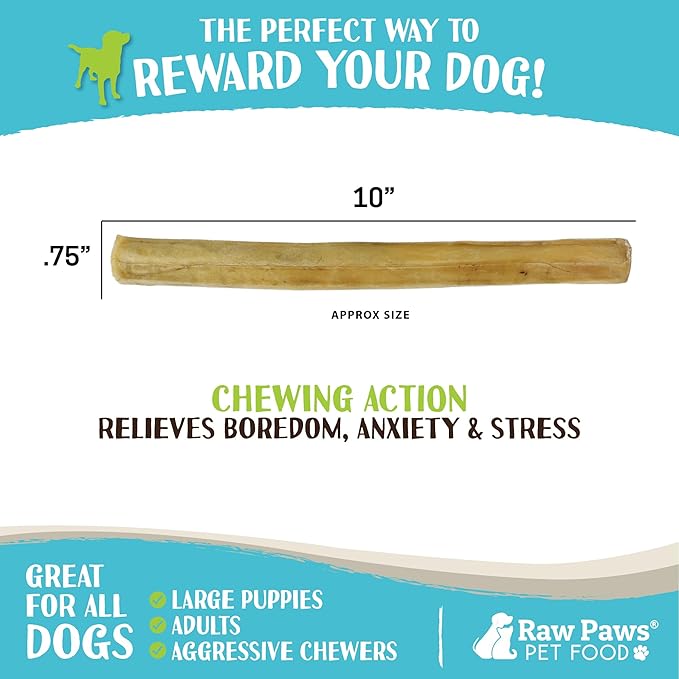 Raw Paws 10-inch Compressed Rawhide Sticks for Dogs, 10-ct - Pressed Rawhide Chews for Large & Medium Dogs - Safe Hide Rolls - Natural Dog Chew Long Lasting for Aggressive Chewers