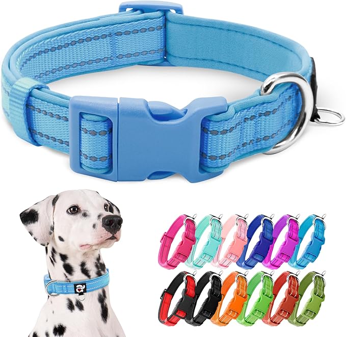 azuza Reflective Dog Collar,Soft Neoprene Padded Pet Collar with ID Tag Ring,Adjustable for Large Dogs,Sky Blue,L