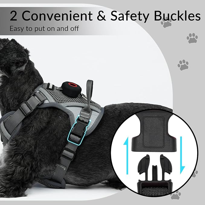 Harness and Leash Set with AirTag Holder for Large Cat Small Dog, Upgraded Escape Proof Vest with Lead for Puppy Outdoor Walking，Soft Breathable Mesh Coat with Reflective Strip (Grey, XL)