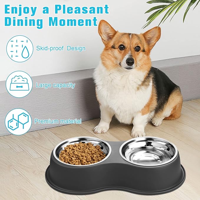 Dog Bowls Double Dog Water and Food Bowl Stainless Steel Bowl with Non-Slip Resin Station, Pet Feeder Bowls for Puppy Medium Dogs Cats
