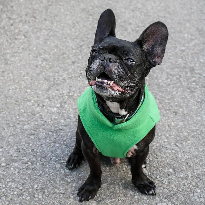 JACKO & CO - Fleece Vest Dog Sweater with Leash Ring - Soft, Warm & Lightweight Pullover Coat for Small & Medium Dogs, Puppies & Cats - Cozy Fall/Winter/Spring Pet Jacket (Green, Large 10-16lbs)