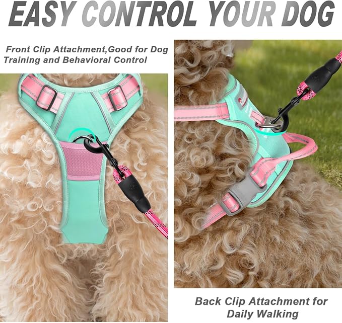 BARKBAY No Pull Dog Harness Front Clip Heavy Duty Reflective Easy Control Handle for Large Dog Walking(Cool Mint & Baby Pink,XS)