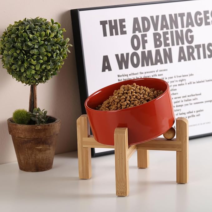 Petygooing Elevated/Raised 15°Slanted Ceramic Dog Bowl for Small and Medium Breeds, Tilted Anti Slip Pet Feeding Bowl,Food Water Dish with Stand for Cats and Dogs (28 OZ/3.6 Cups) Rust Red