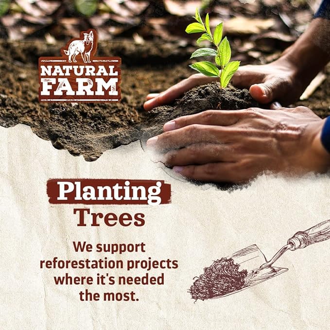 Natural Farm Rib Bones for Dogs (6 Inch, 8 Pack) - Beef Ribs for Dogs, Farm-Raised Cattle - Slow-Roasted Flavor - Low Odor for Indoor, Outdoor Chewing - Promotes Dental Health