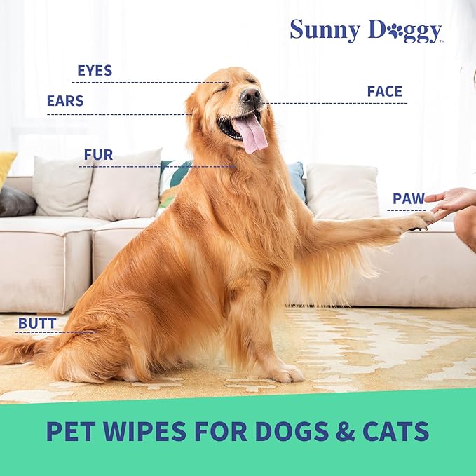 Pet Wipes 80 Count, Dog Wipes Cleaning Deodorizing Cat Wipes, 8 x 8 Inch Dog Grooming Wipes for Butt Paws Ear Eyes and Body