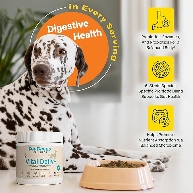 Dog Multivitamin Powder | 9-in-1 Whole Food Dog Vitamins and Dog Supplements That Supports Joint, Digestion, Skin & Coat, Immune, Cognition, Detox, Heart, Antioxidants (Cheesy Beef Flavor)