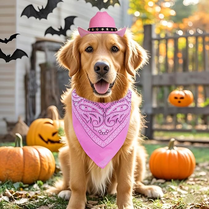 Pet Cowboy Costume Halloween Costumes for Small Pet Dogs Cat Cowboy Hat with Bandana Scarf Set Party Accessories (Pink, Small)