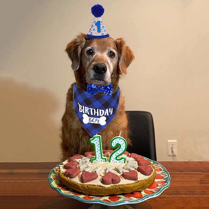 ADOGGYGO Dog Birthday Party Supplies, Pet Party Hat with Numbers, Bow, Blue Plaid Birthday Boy Bandana for Medium Large Dogs (Large)