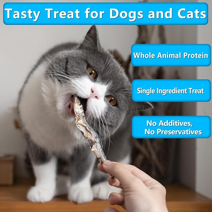 Minnows, 100% Natural Air Dried Minnows for Dog & Cat, Grain-Free, High-Protein, 100% Natural Premium Cat & Dog Treats 4.5 oz