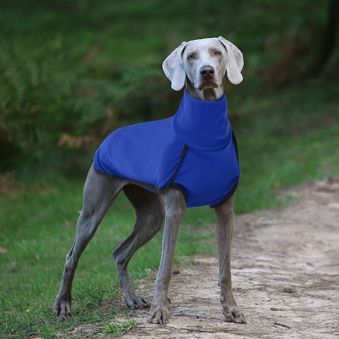 ROZKITCH Dog Winter Coat Soft Pullover Pajamas with Built-in Leash Hole, Pet Windproof Warm Cold Weather Jacket Vest Cozy Jumpsuit Apparel Outfit Clothes for Walking Hiking Travel Sleep Blue S