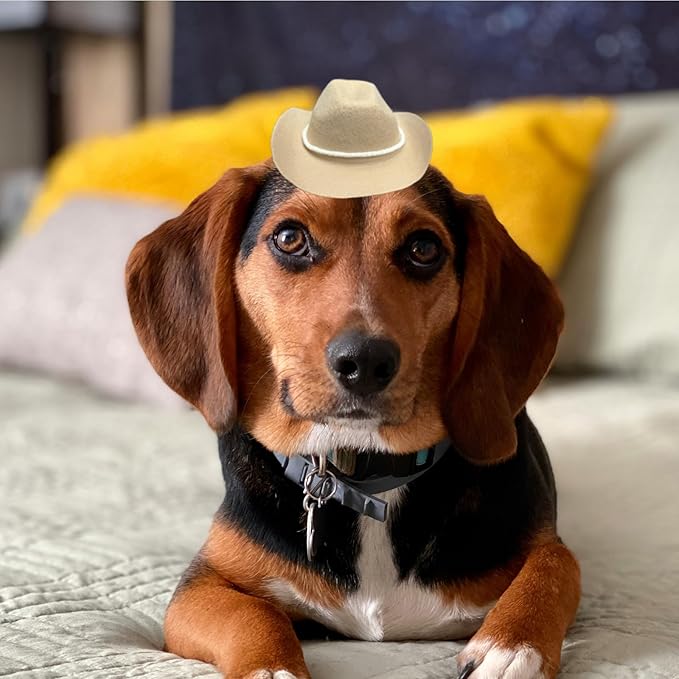 Dog Cowboy Hat Cat Cowboy Hat Pet Cowboy Costume Mini Cowboy Hat for Dogs Cat Holiday Halloween Pet Party Decoration (Khaki-style3, Small)