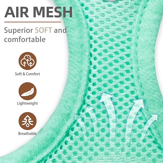 PUPTECK Adjustable Dog Harness Collar and Leash Set Step in No Pull Pet Harness for Small Medium Dogs Puppy and Cats Outdoor Walking Running, Soft Mesh Padded Reflective Vest Harnesses, Solid Green S