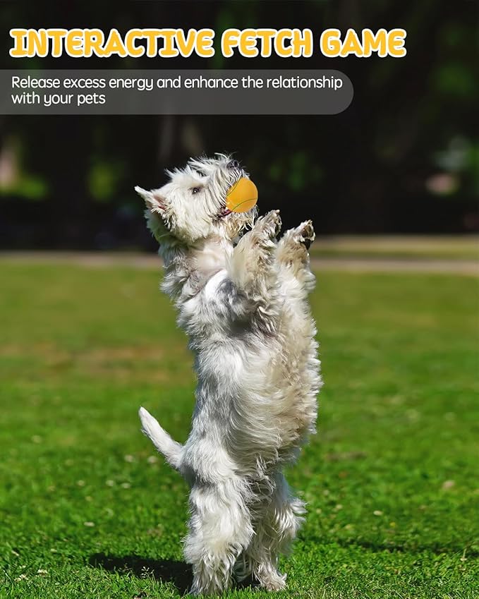 SCHITEC Dog Squeaky Toy Balls, Puppy Tennis Balls for Fetch Play, Interactive Latex Squeak Pet Toy for Puppies Mini Breed Small Dogs