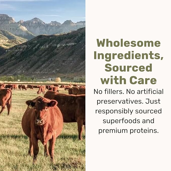 BADLANDS RANCH Superfood Nuggets – Freeze-Dried Raw Dog Treat & Food Topper, Nutrient-Dense Beef Tripe & Kale Formula, High Protein, No Artificial Additives, 8oz Bags (4-Pack Bundle)