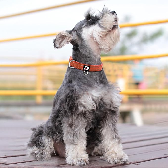 azuza Reflective Dog Collar, Soft Neoprene Padded Pet Collar with ID Tag Ring, Adjustable for Small Dogs,Rust Red,S