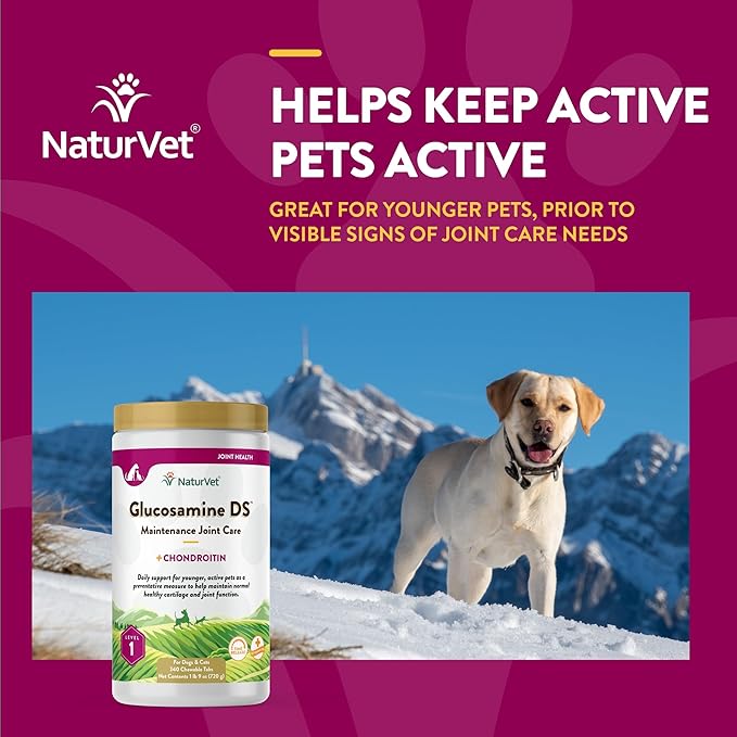 NaturVet – Glucosamine DS - Level 1 Maintenance Care | Preventative Care to Maintain Healthy Cartilage & Joint Function | Enhanced with Glucosamine & Chondroitin | for Dogs & Cats (240 Tablets)