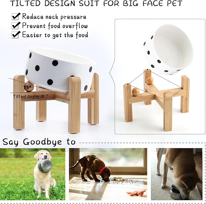 Petygooing Raised/Elevated 15°Slanted Ceramic Dog Bowl for Small Breeds,Tilted Anti Slip Pet Bowl,Food Water Dish with Stand for Cats and Small Dogs Puppy 13.5 OZ (5.1In / 1.7 Cups) Black Dot