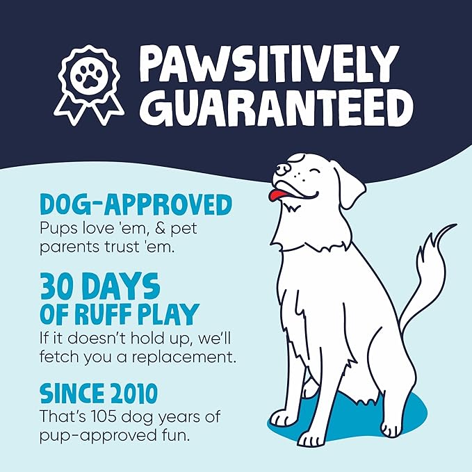 goDog Checkers Just for Me Dinos Bruto Squeaky Plush Dog Toy, Chew Guard Technology - Purple, Mini