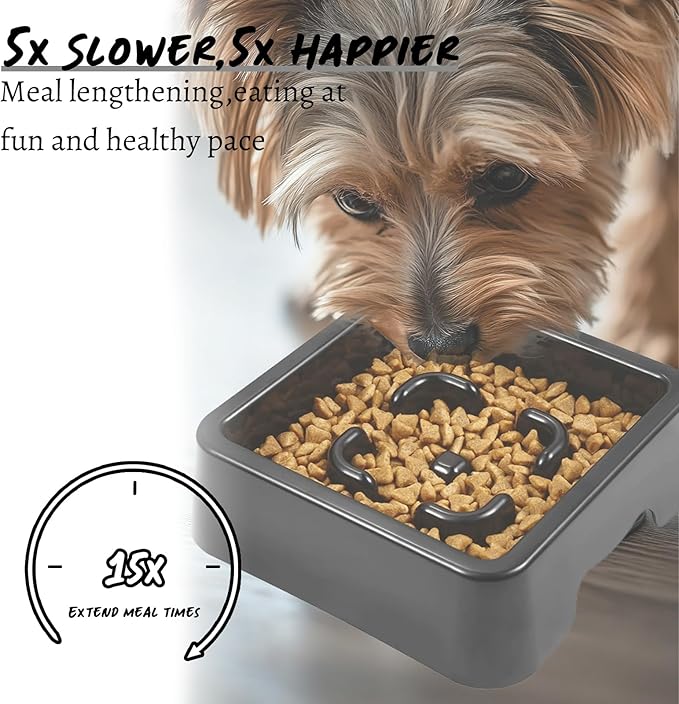 Personalized Slow Feeder Bowl for Dogs & Cats - Custom Name, Non-Slip Bottom, Easy to Clean, Puzzle Food Dish for Puppy & Kitten, Small & Medium Pet Bowls & Plates（Square）