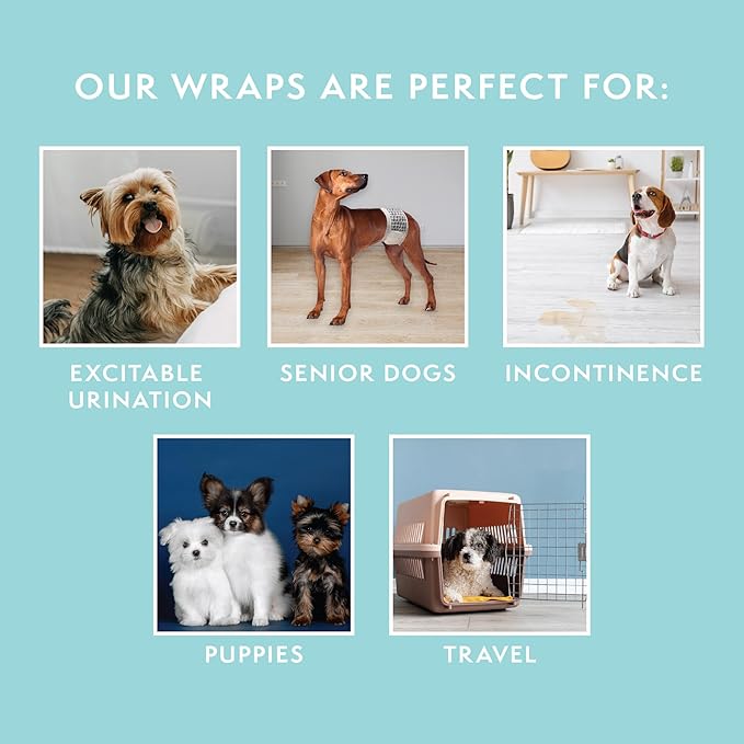 Simple Solution Disposable Wraps for Male Dogs, Dog Diapers, Male Dog Wraps, Leak Proof with Wetness Indicator, Potty Training, Doggie Diaper for Incontinence, 15 – 23 Inch Waist, (M,12 Count)