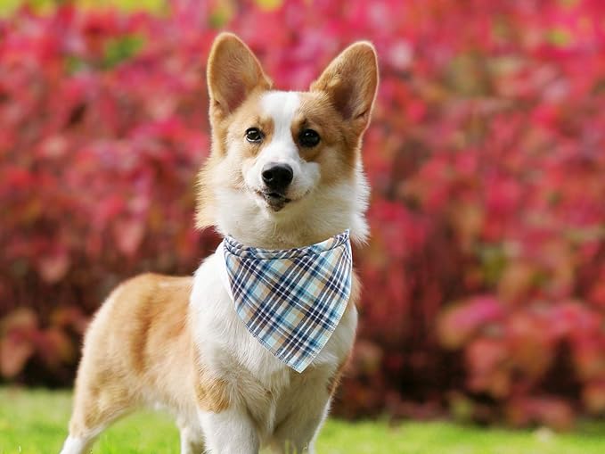 Lionet Paws Dog Bandana Washable Cotton Handkerchief Scarf Triangle Bandana for Small Medium Large Dogs