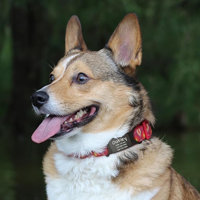 Anavia Slide On Silent Pet ID Tags, S/M/L/XL Personalized Black Stainless Steel Colored Silicone Cat Dog Name Tag, Customized Engraved Nameplate, Quiet Chew-Proof Pet Collar Tag (Red, Medium)