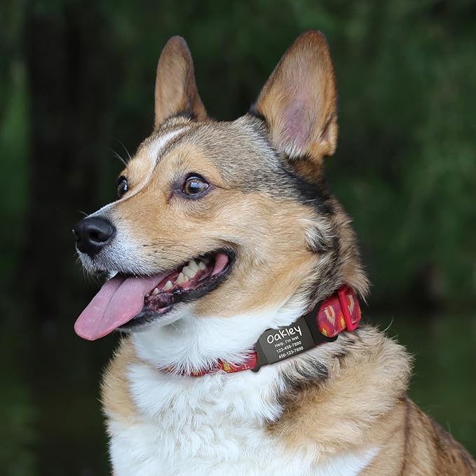 Anavia Slide On Silent Pet ID Tags, S/M/L/XL Personalized Black Stainless Steel Colored Silicone Cat Dog Name Tag, Customized Engraved Nameplate, Quiet Chew-Proof Pet Collar Tag (Red, Small)