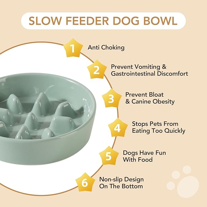 Ceramic 0.9 Cup Raised Slow Feeder Dog Bowl Set, Elevated 5.1inch Bowl and 6.1inch Slow Pet Food Dish with Wooden Stand for Small Dog and Cat (2 x Light Green+ Stand)