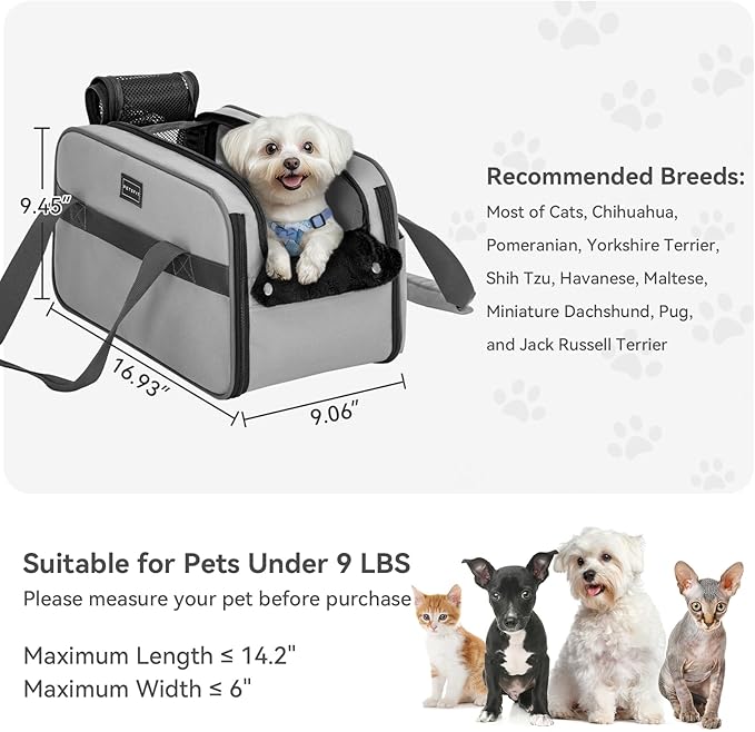 PETSFIT Multipurpose Console Dog Car Seat, Portable Small Dog Car Seat for Dogs, Cat Carrier, Pet Carrier Airline Approved with Safety Tether and Pockets (Light Grey)