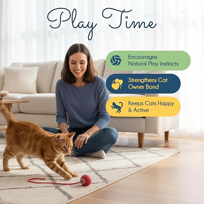 Oh My Cat! Interactive cat Toys – Automatic Electric self-Play Toy Pack Supplies for Bored Indoor Cats, Kittens, and Adult Pets; Moving Stimulation Games, Cute Catnip Ball, Funny Exercise Gift