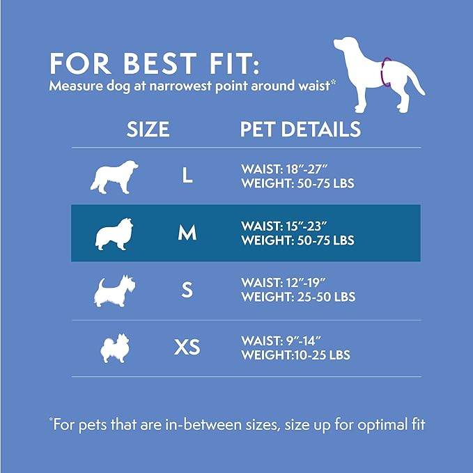 Simple Solution Disposable Wraps for Male Dogs, Dog Diapers, Male Dog Wraps, Leak Proof with Wetness Indicator, Potty Training, Doggie Diaper for Incontinence, 15 – 23 Inch Waist, (M,12 Count)