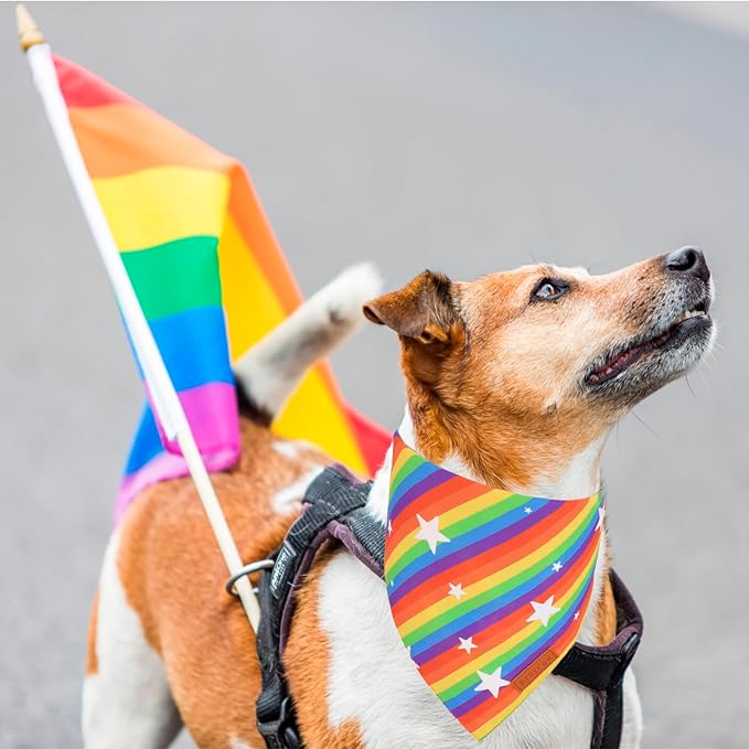 PTDECOR Rainbow Dog Bandanas Pride Day, Multi Size,“Love is Love” Pet Scarf Reversible Triangle LGBT+ Rainbow Bandanas for Large X-Large Dogs Pets (X-Large)