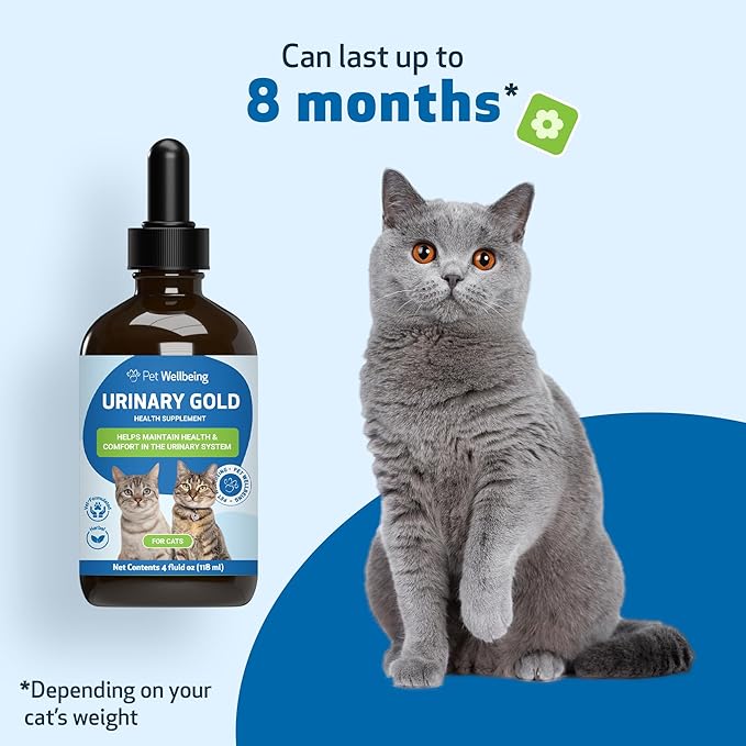 Pet Wellbeing Urinary Gold for Cats - Vet-Formulated Multi-Herb Urinary Tract Support - Feline Bladder Health & Urinary System Wellness - Holistic Cat Supplement - Liquid Formula 4 oz (118 ml)