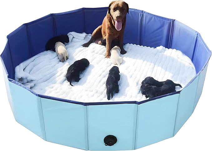 Artilife Whelping Box for Dogs Welp Box Whelping Pool,Puppy Whelping Pen for Puppies,Birthing for Dogs (63inch Dia.x12inch H(160x30cm), Blue)