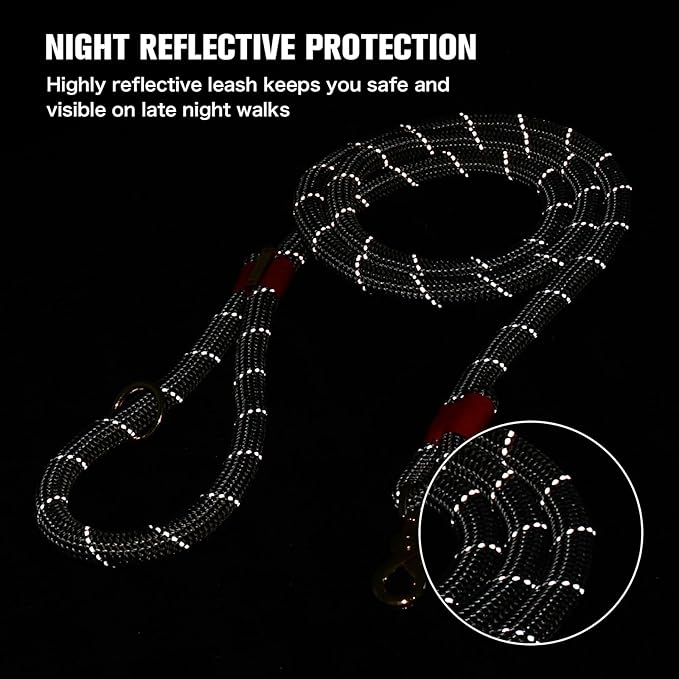 Nylon Rope Dog Leash Reflective, Handmade Braided Strong Dog Lead, Heavy Duty Rope Leash for Medium Large Dogs (5 FT - 3/5" Silver Grey)