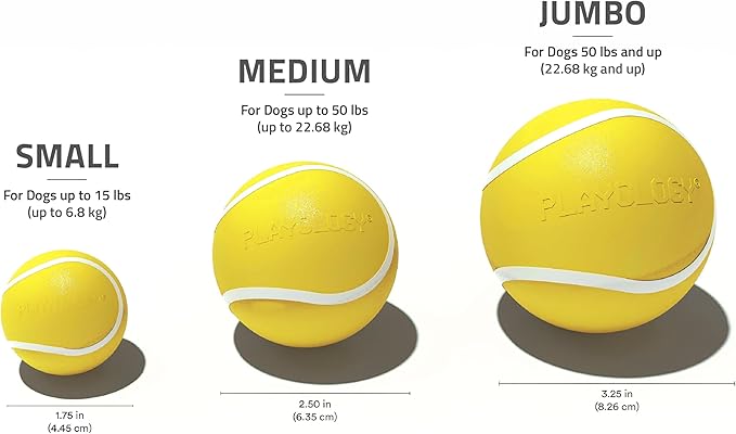 Playology Dog Toys | Squeaky Chew Ball - Bouncy Durable Floating Fetch Ball for Dogs | Jumbo Chicken Scented Toy - Easy to Clean and Made from Non Toxic Materials