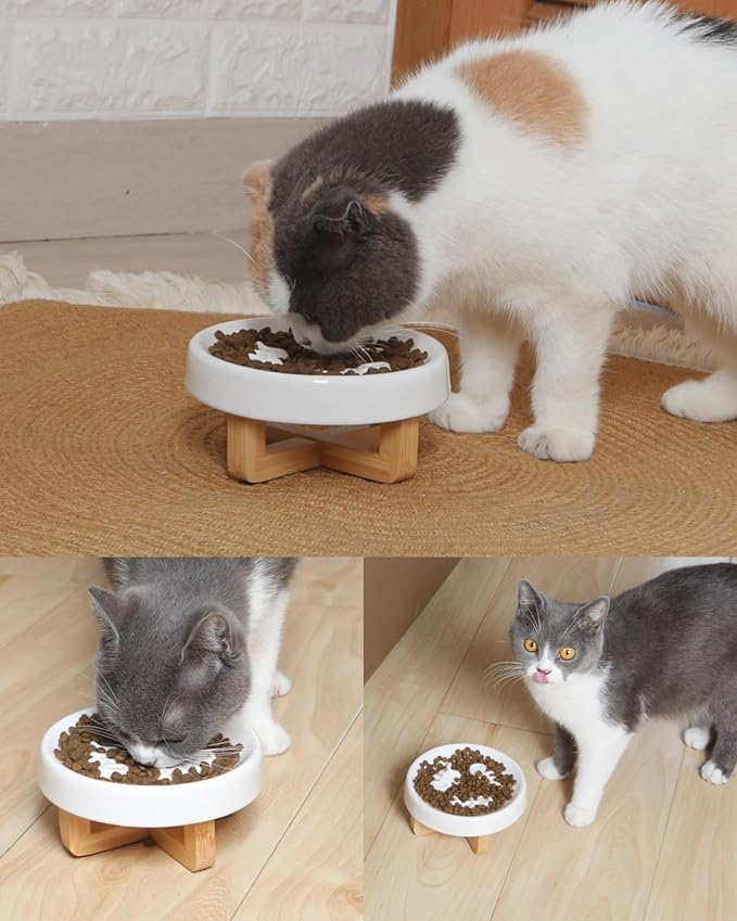 Ceramic Cat Dog Feeder, Slow Feed Bowl with Stand, 2.5'' High, 5.2'' Wide, Whisker Friendly, Easy to Clean, for Cats and Small Dogs