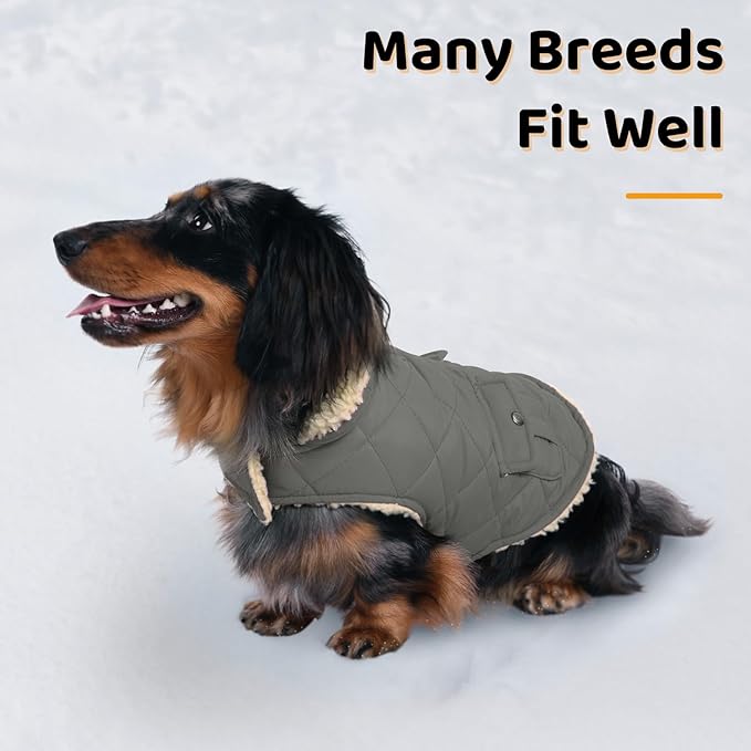 Queenmore Dog Winter Coat - Fleece Jacket, Waterproof Cold Weather Clothes, Thick Warm Cotton Padding, Easy On Storage Pockets (Grey, Medium)