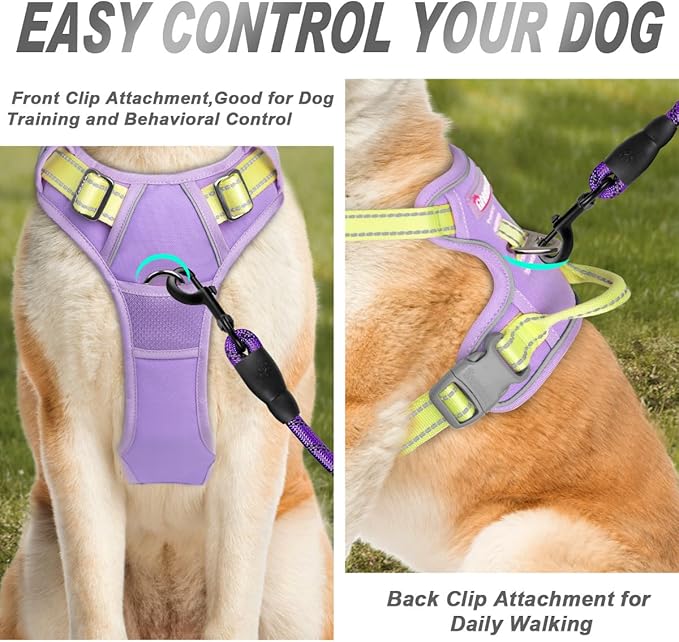 BARKBAY No Pull Dog Harness Front Clip Heavy Duty Reflective Easy Control Handle for Large Dog Walking(Violet Purple & Sunlight,XL)