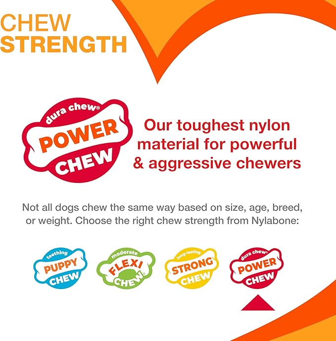 Nylabone Original Bone Power Chew Toy for Dogs, Durable & Tough Dog Toys for Aggressive Chewers, Original Flavor, X-Small/Petite - Up to 15 lbs, 1 Count