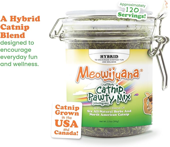Meowijuana Catnibas Catnip Pawty Mix with Lemongrass Jar | Value Bulk Jar | Premium High Potency Catnip | Premium Hand Harvested North American Catnip | 60g