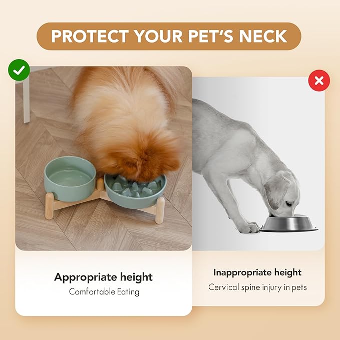 Ceramic 0.9 Cup Raised Slow Feeder Dog Bowl Set, Elevated 5.1inch Bowl and 6.1inch Slow Pet Food Dish with Wooden Stand for Small Dog and Cat (2 x Light Green+ Stand)